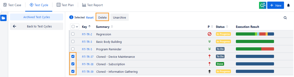 Bulk Delete Test Cycles Bulk Delete Test Cycles