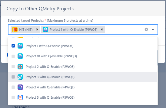 Copy to Other Projects Copy to Other Projects